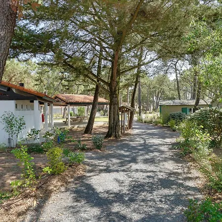 2 Bedroom Cozy In *